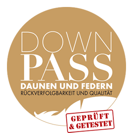 DOWNPASS Logo